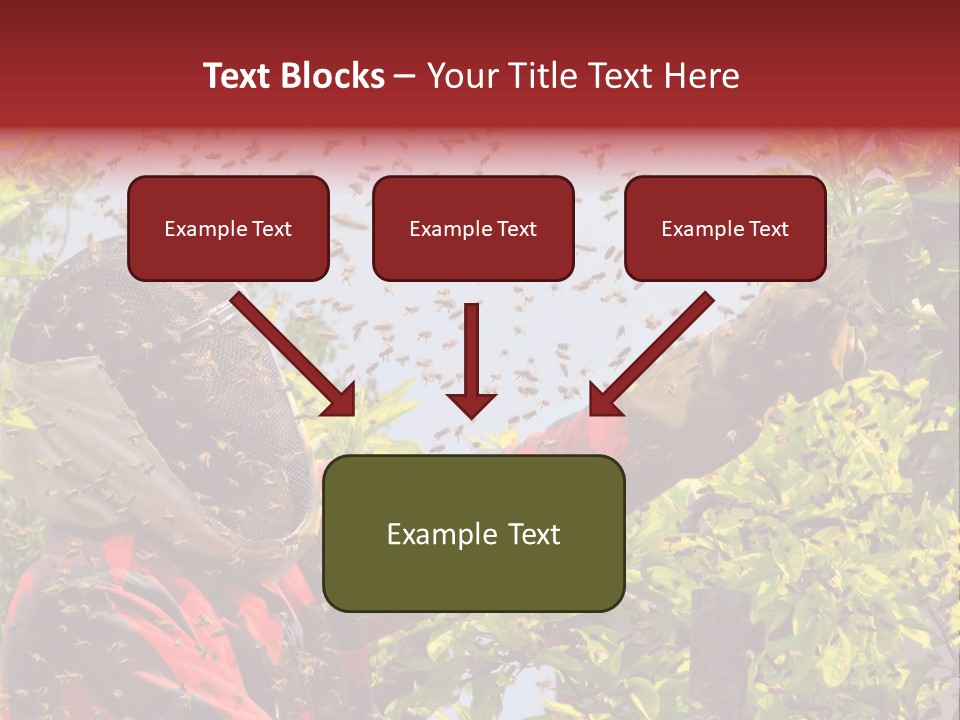Country Honey Apiary PowerPoint Template