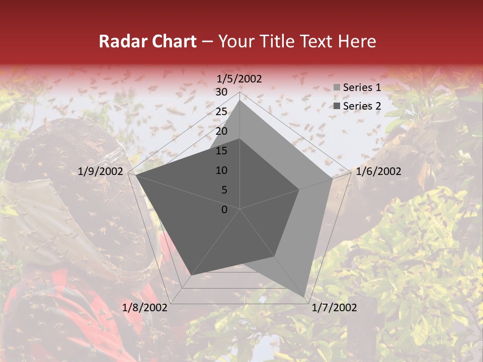 Country Honey Apiary PowerPoint Template