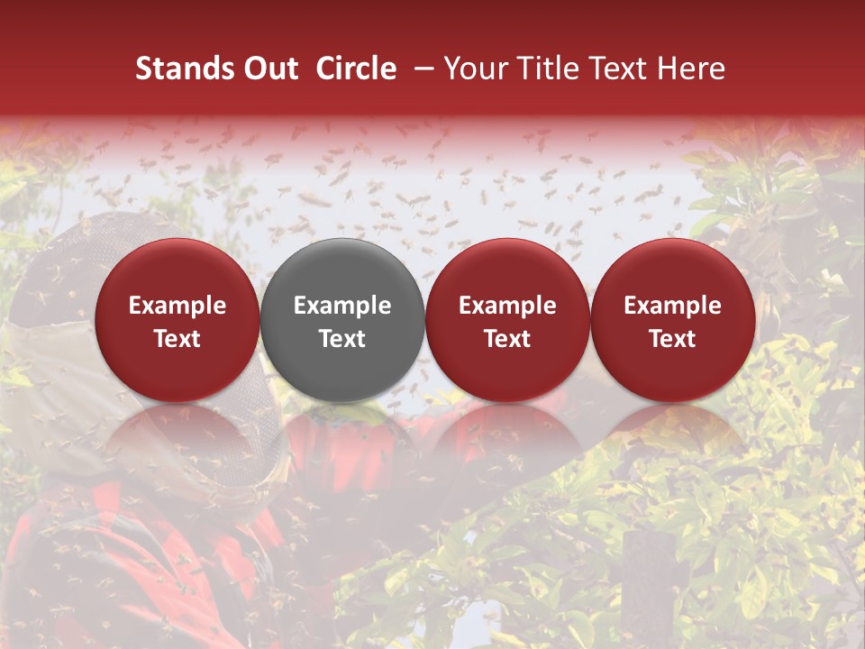 Country Honey Apiary PowerPoint Template