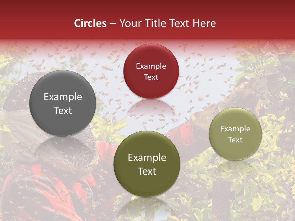 Country Honey Apiary PowerPoint Template