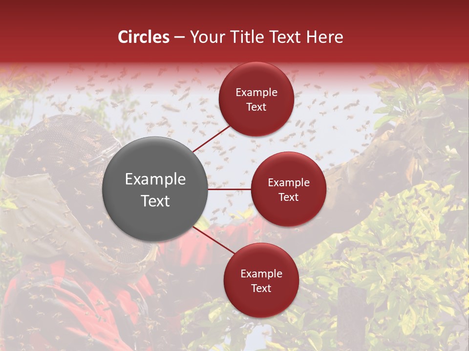 Country Honey Apiary PowerPoint Template