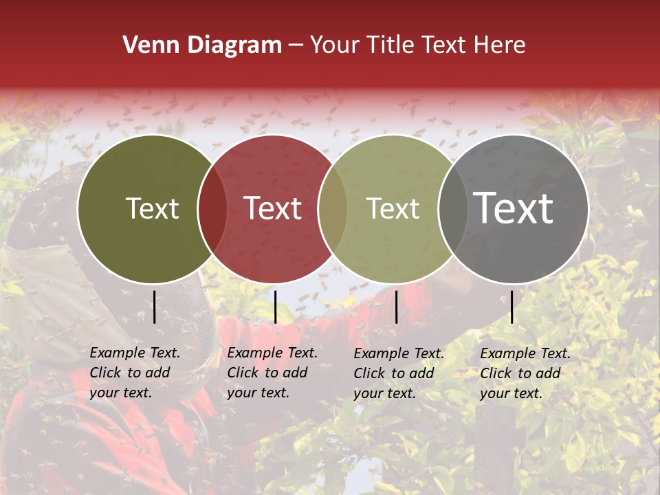 Country Honey Apiary PowerPoint Template