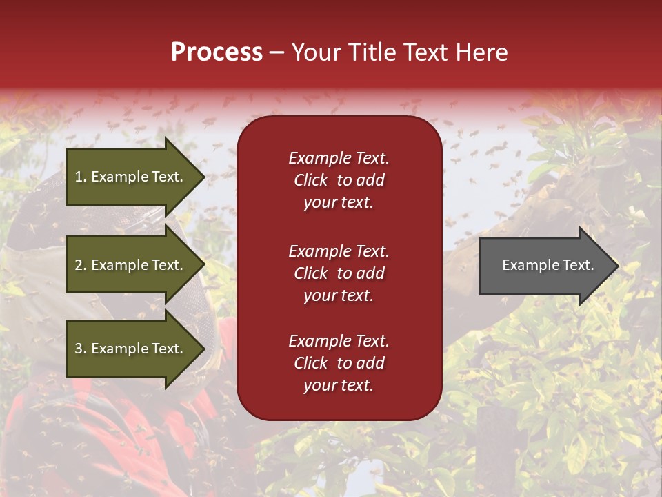 Country Honey Apiary PowerPoint Template