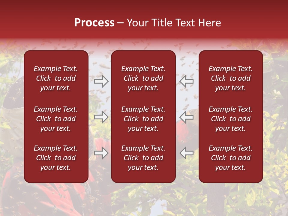 Country Honey Apiary PowerPoint Template