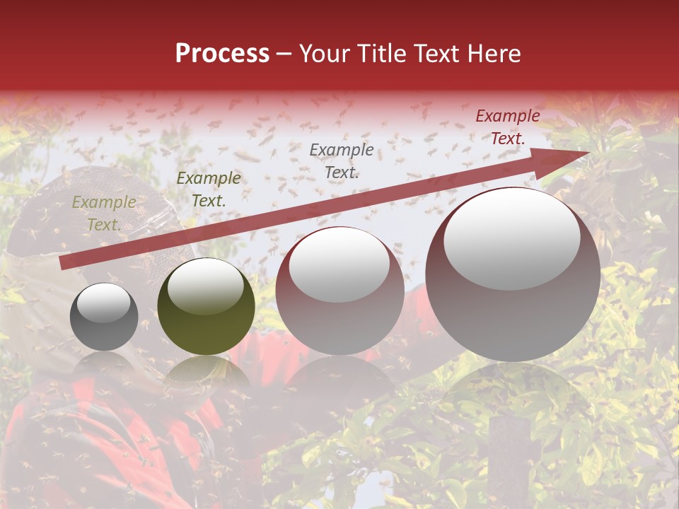 Country Honey Apiary PowerPoint Template