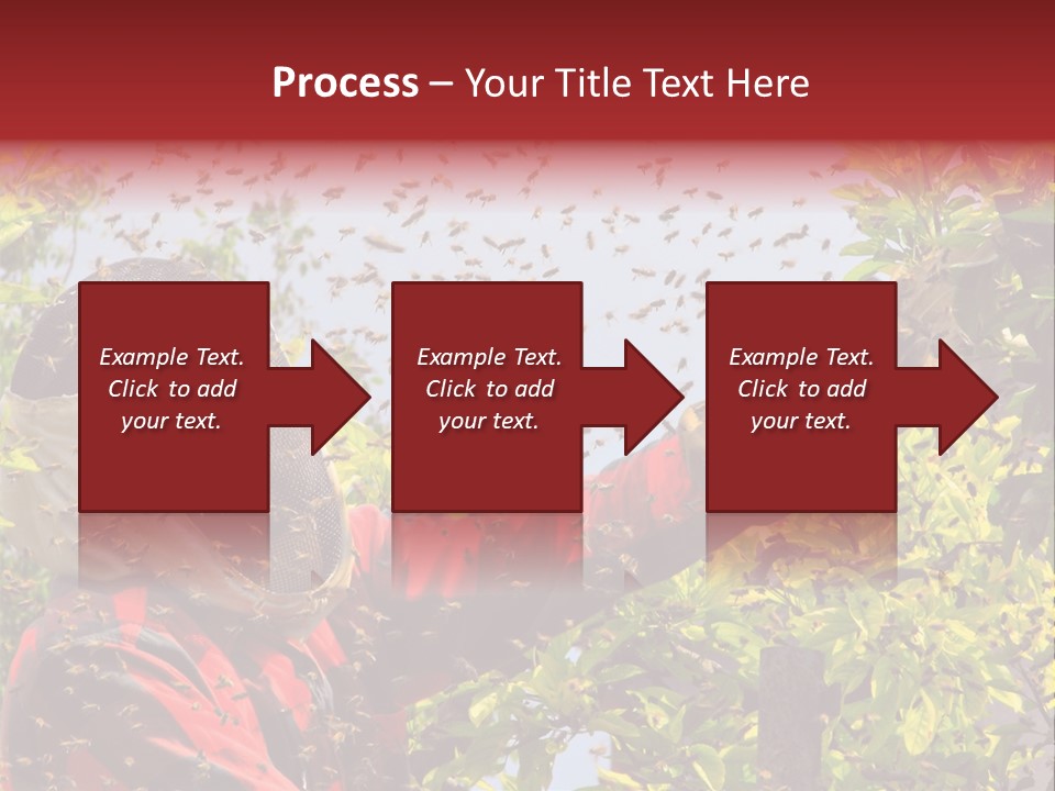 Country Honey Apiary PowerPoint Template