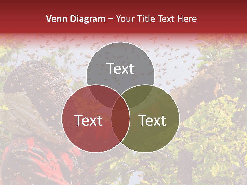 Country Honey Apiary PowerPoint Template