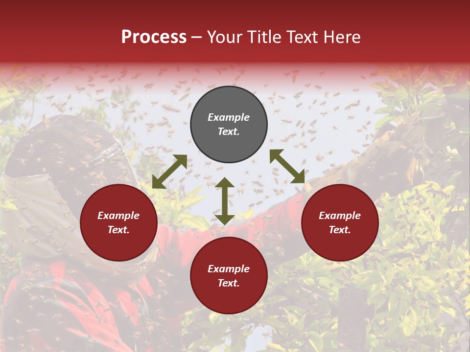 Country Honey Apiary PowerPoint Template