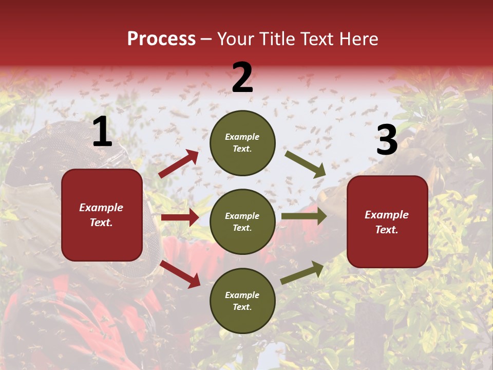 Country Honey Apiary PowerPoint Template
