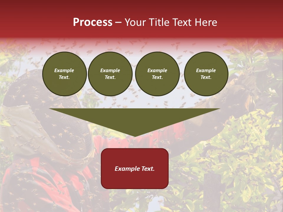 Country Honey Apiary PowerPoint Template