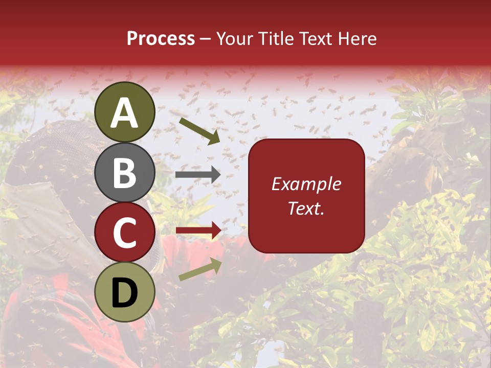 Country Honey Apiary PowerPoint Template