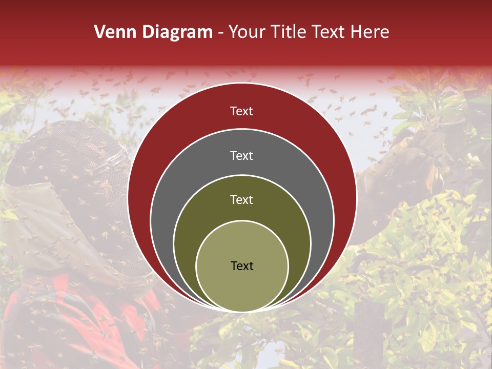 Country Honey Apiary PowerPoint Template
