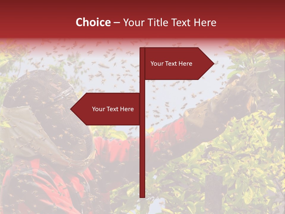 Country Honey Apiary PowerPoint Template