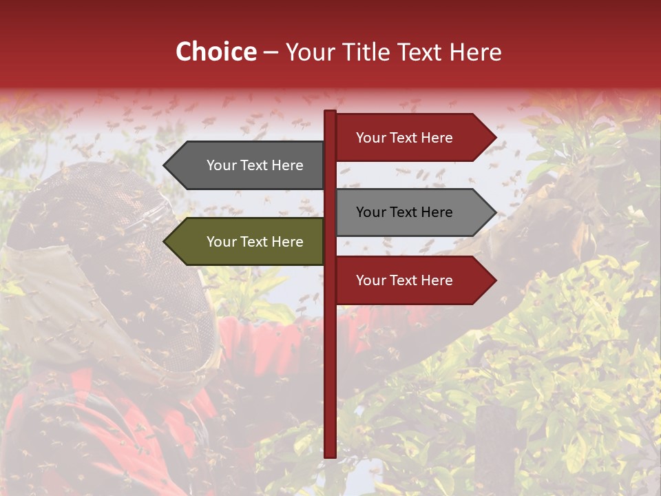 Country Honey Apiary PowerPoint Template