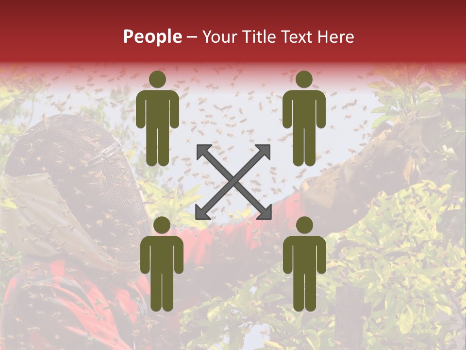 Country Honey Apiary PowerPoint Template