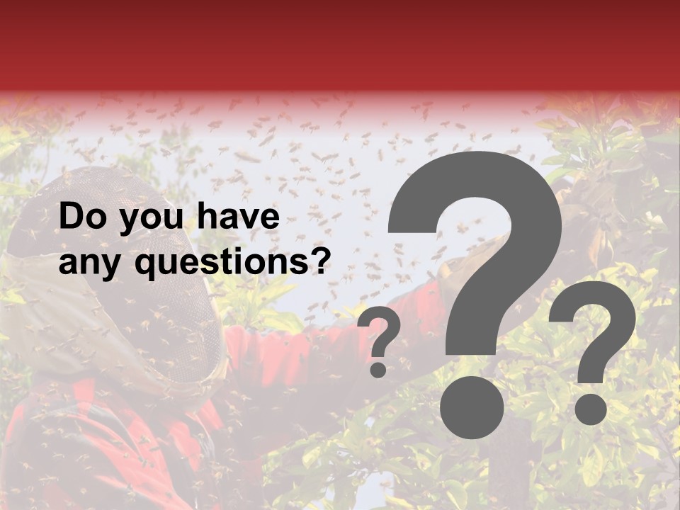 Country Honey Apiary PowerPoint Template