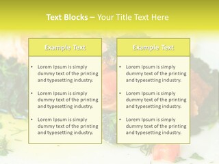 A Piece Of Fish On A Bed Of Greens On A Plate PowerPoint Template