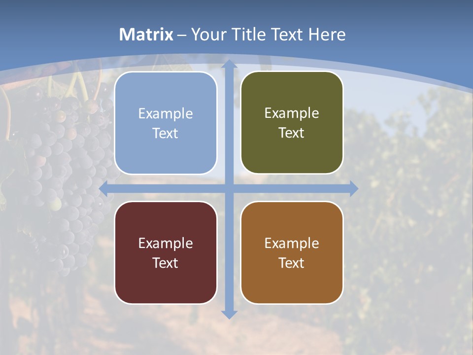 Leg Woman Female PowerPoint Template