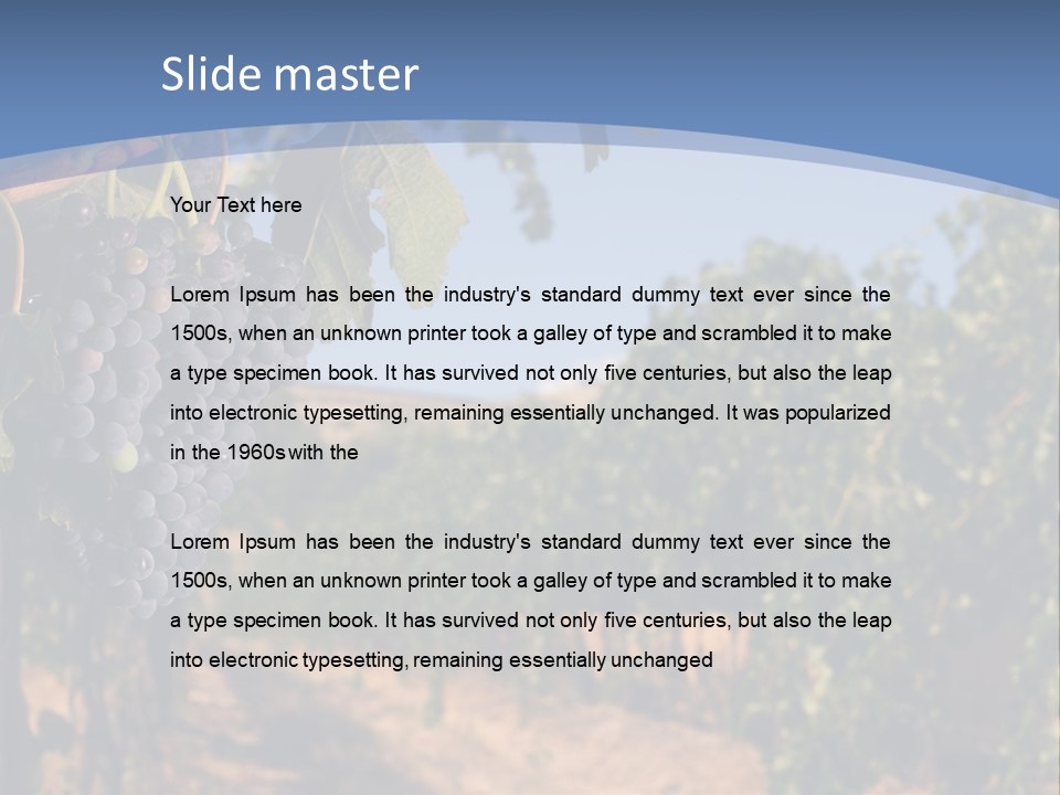 Leg Woman Female PowerPoint Template