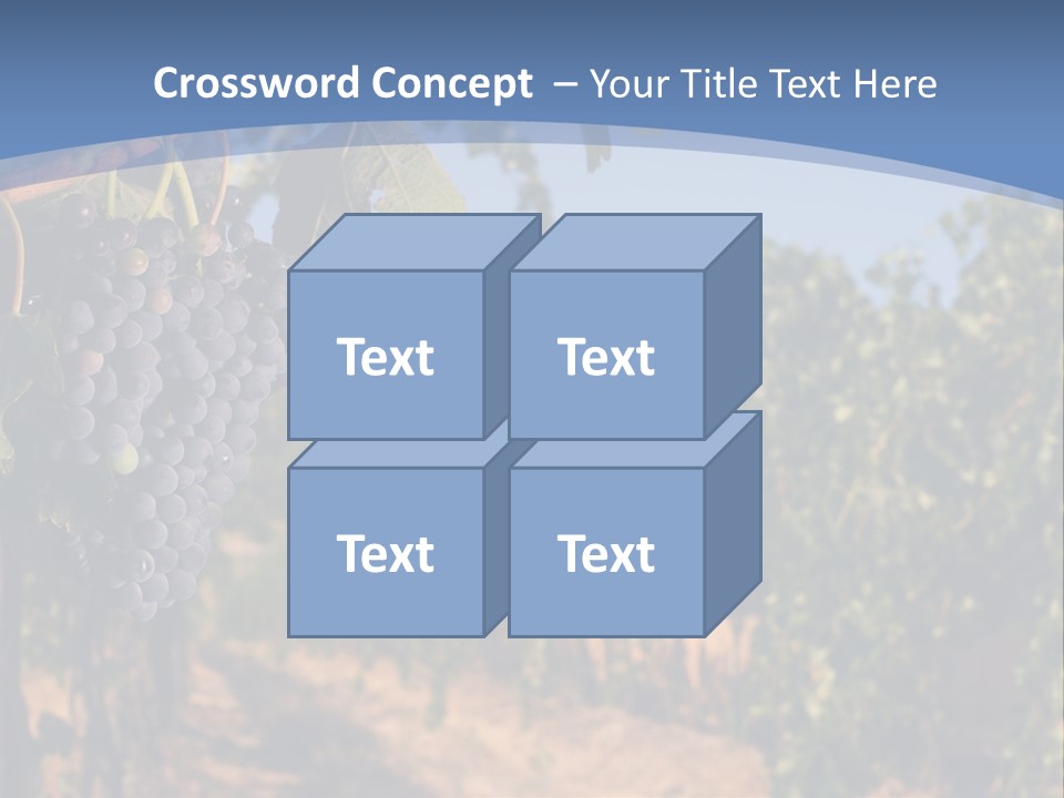 Leg Woman Female PowerPoint Template