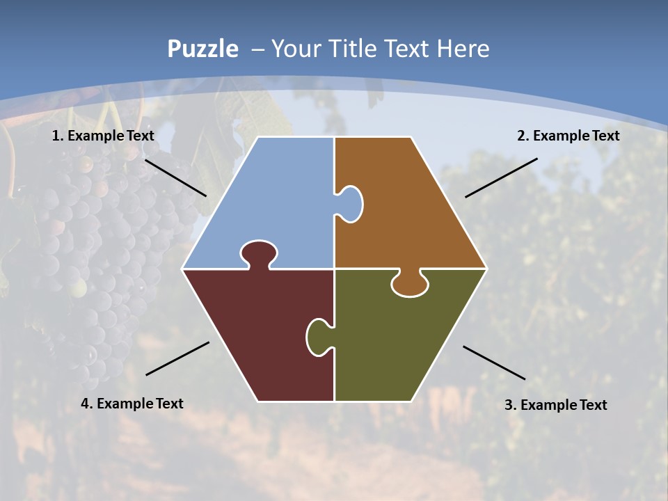 Leg Woman Female PowerPoint Template