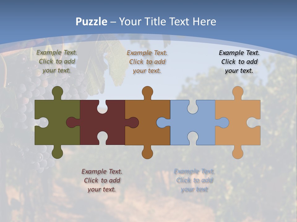 Leg Woman Female PowerPoint Template