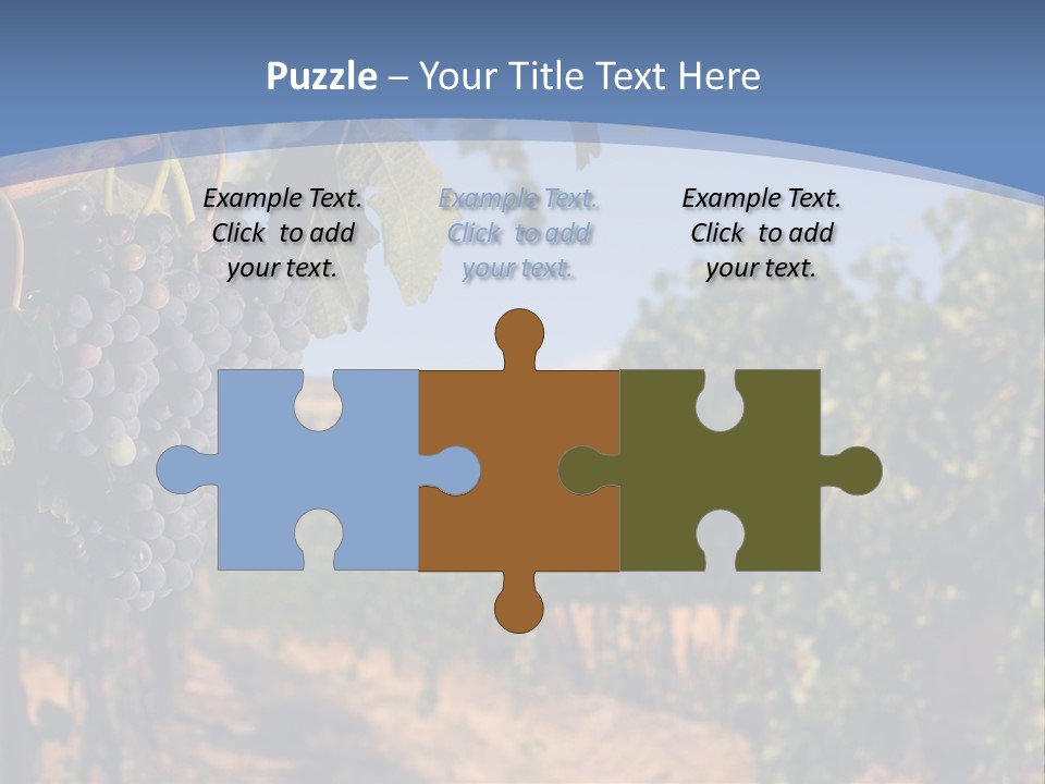 Leg Woman Female PowerPoint Template