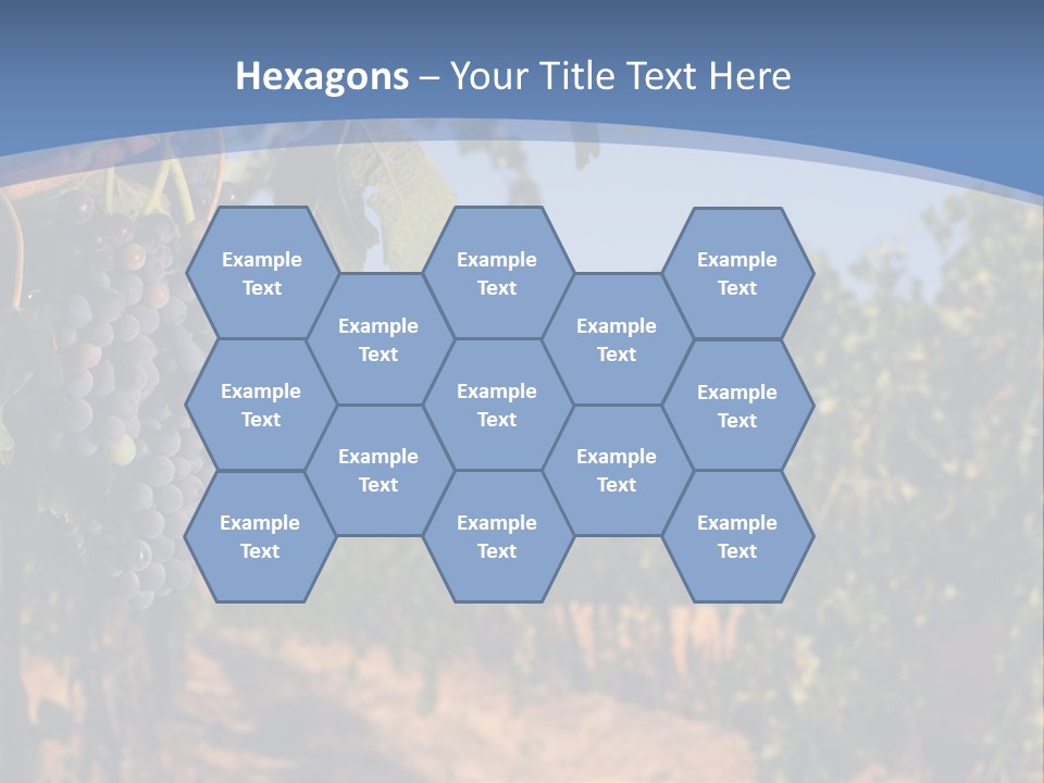 Leg Woman Female PowerPoint Template