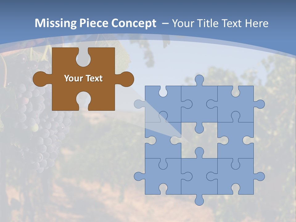 Leg Woman Female PowerPoint Template