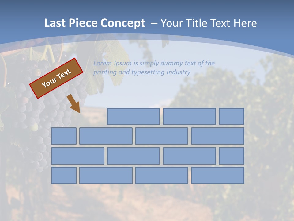 Leg Woman Female PowerPoint Template