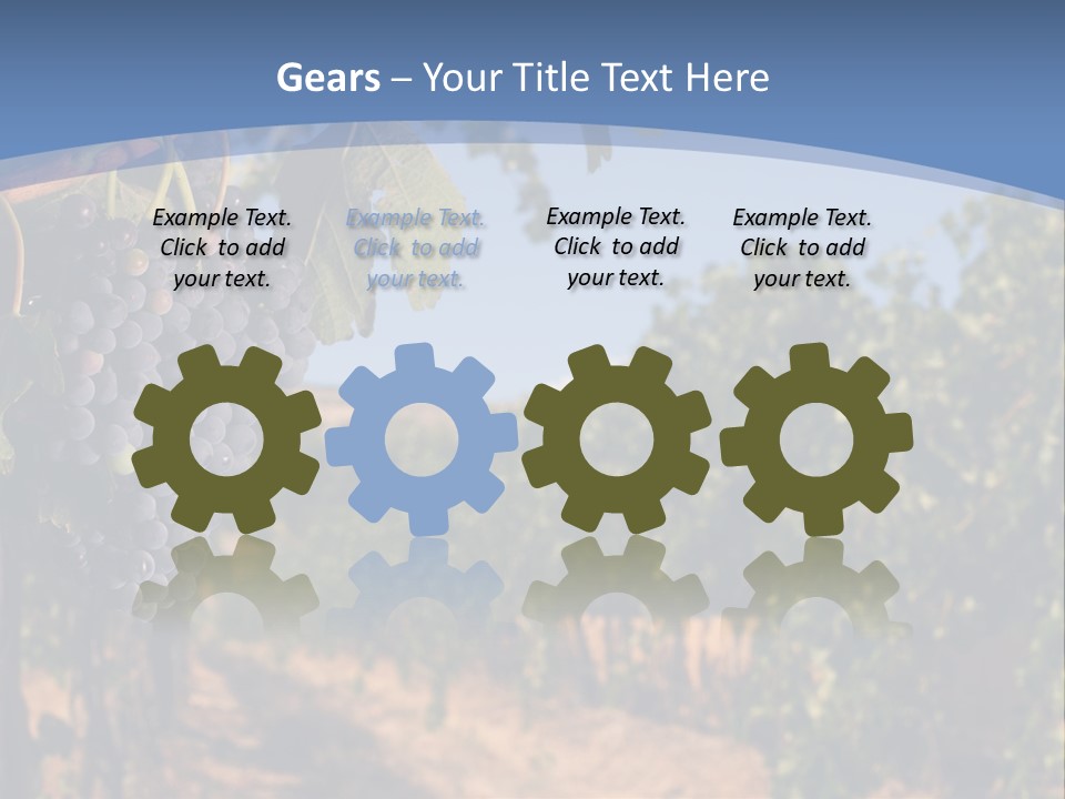 Leg Woman Female PowerPoint Template