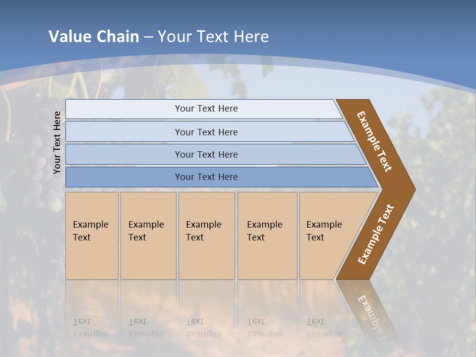 Leg Woman Female PowerPoint Template