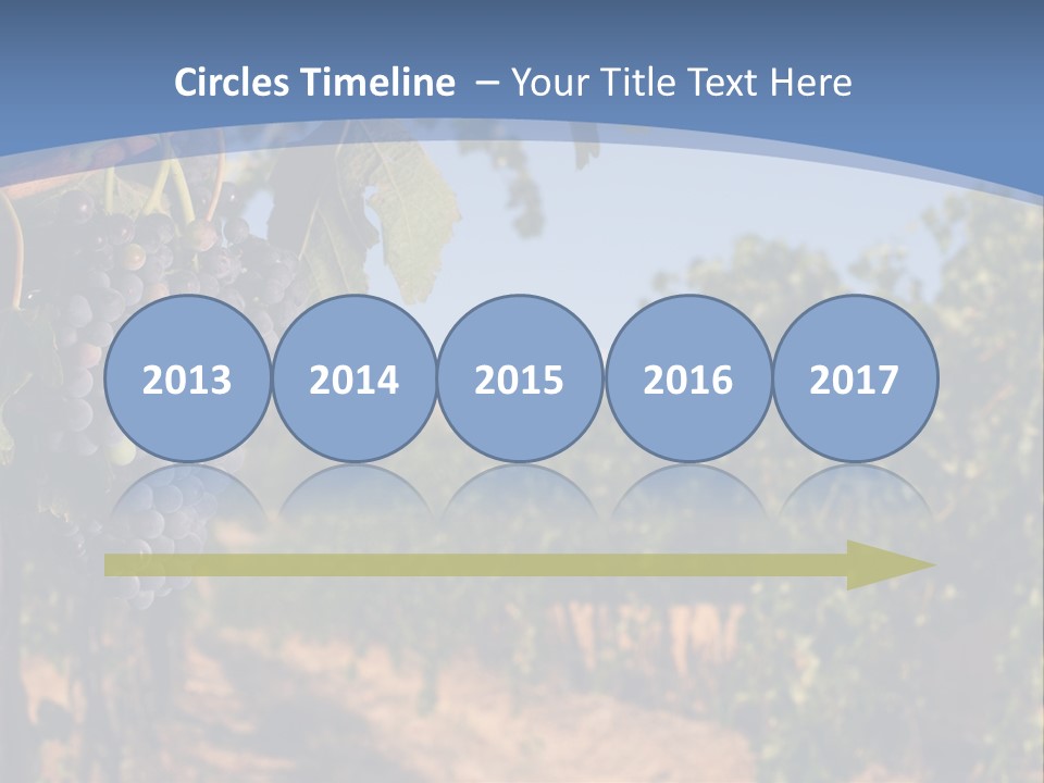 Leg Woman Female PowerPoint Template