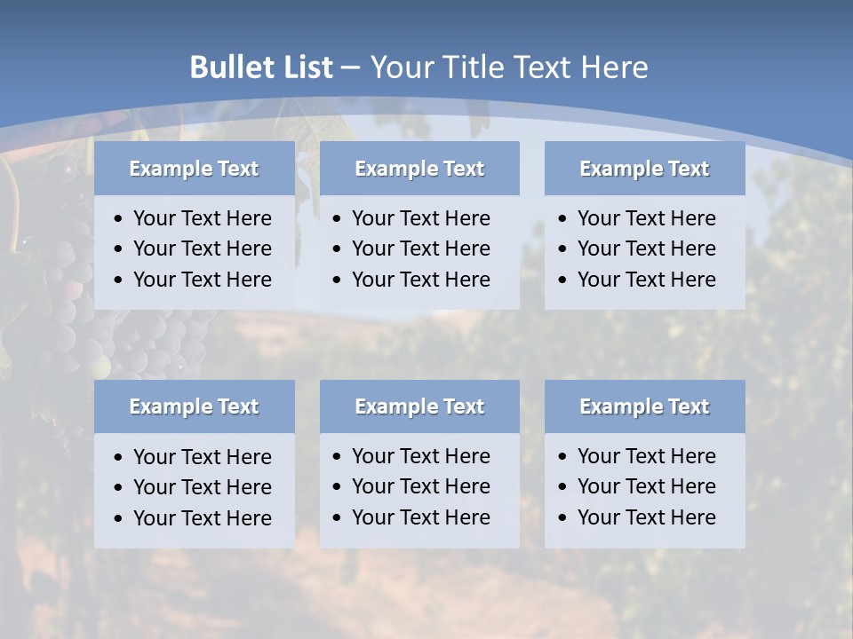 Leg Woman Female PowerPoint Template