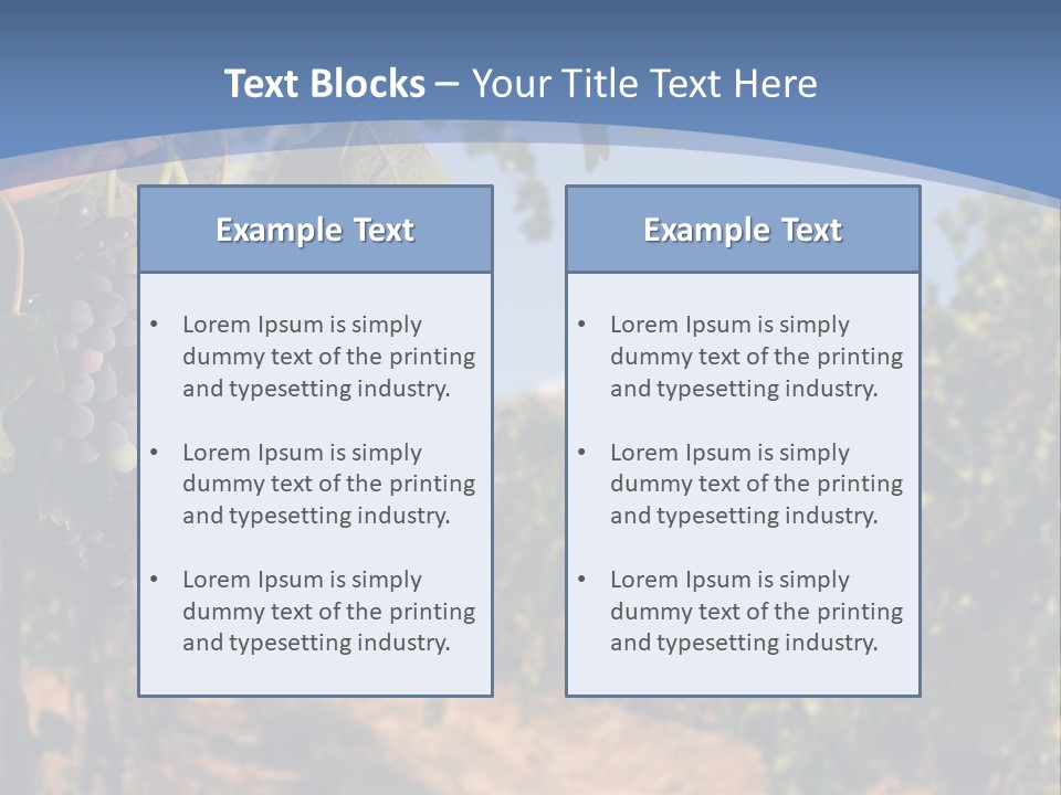Leg Woman Female PowerPoint Template