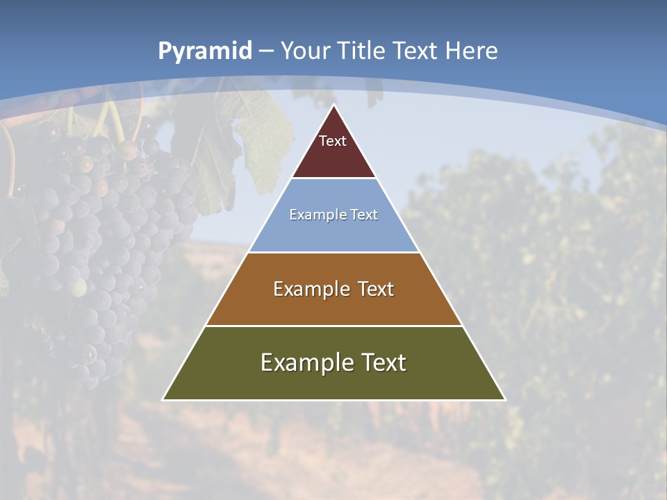 Leg Woman Female PowerPoint Template