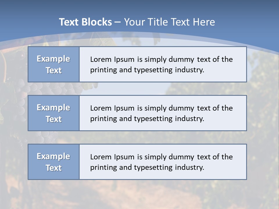 Leg Woman Female PowerPoint Template