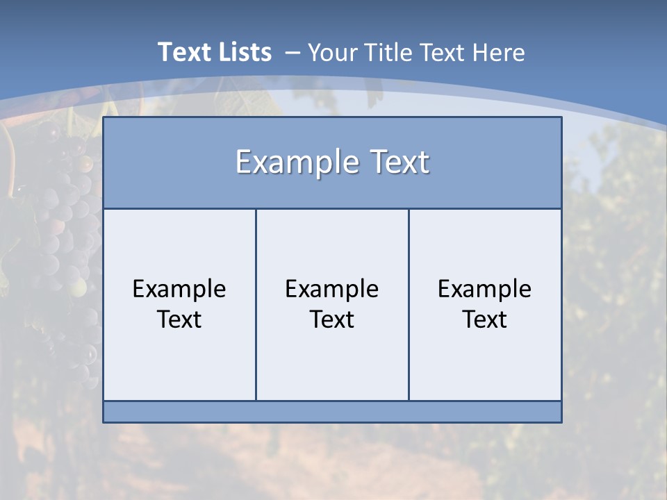 Leg Woman Female PowerPoint Template