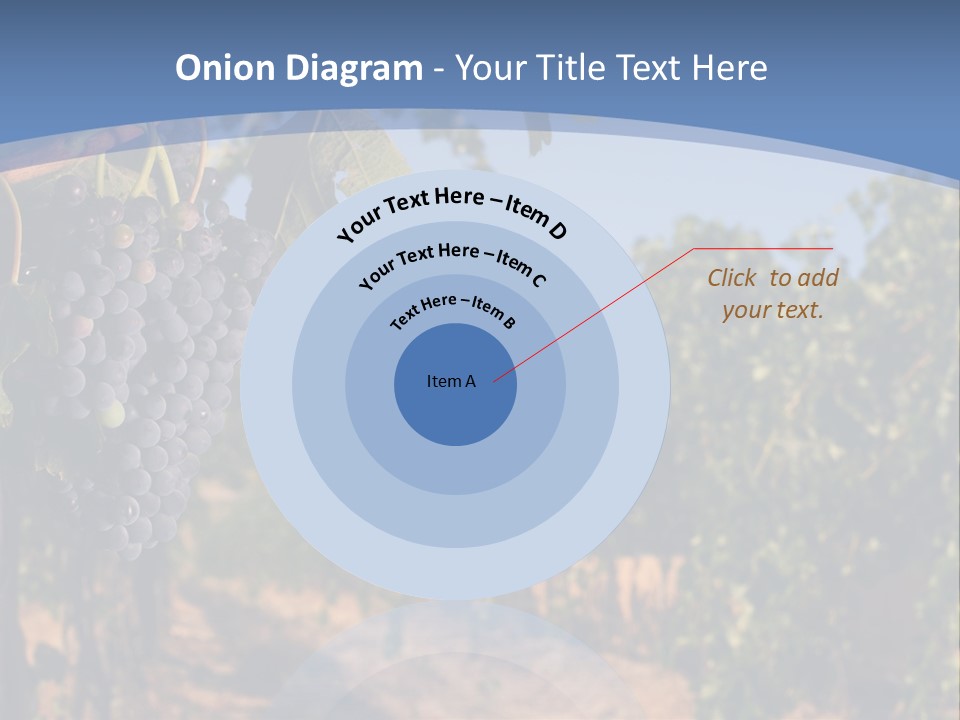 Leg Woman Female PowerPoint Template