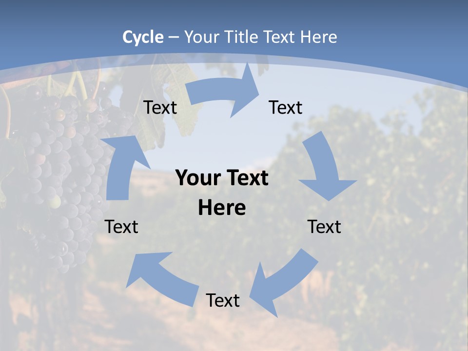 Leg Woman Female PowerPoint Template