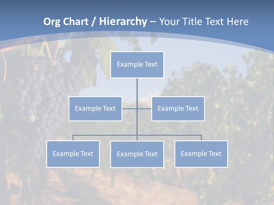 Leg Woman Female PowerPoint Template