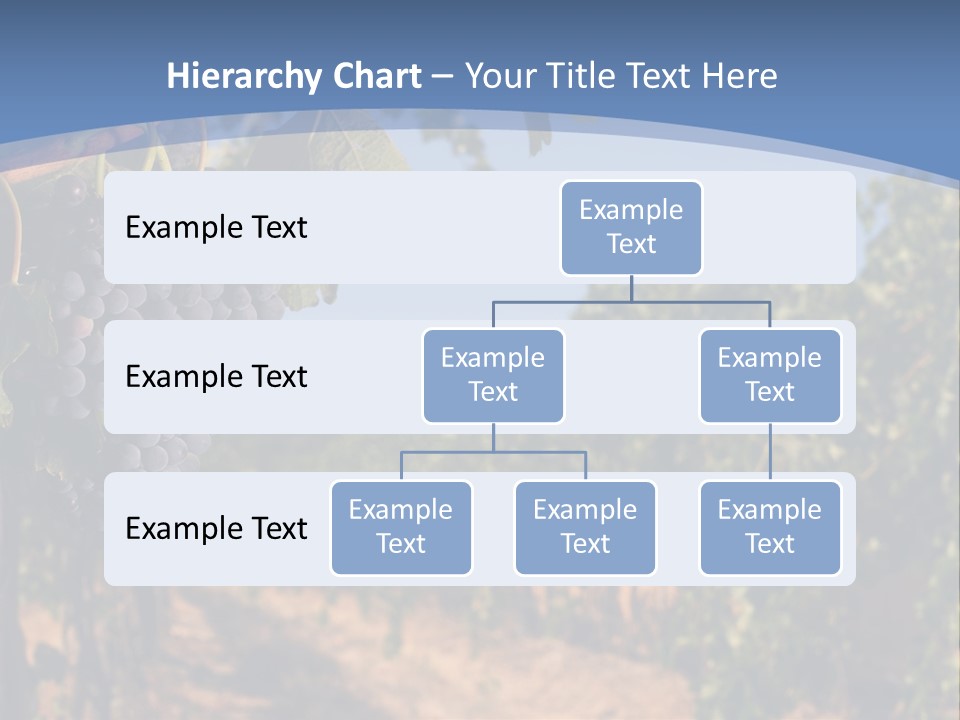 Leg Woman Female PowerPoint Template
