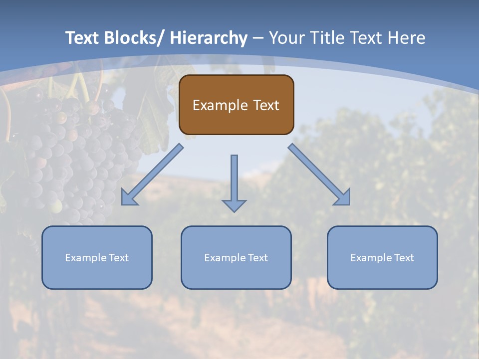 Leg Woman Female PowerPoint Template