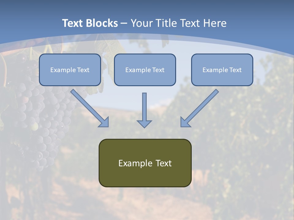 Leg Woman Female PowerPoint Template