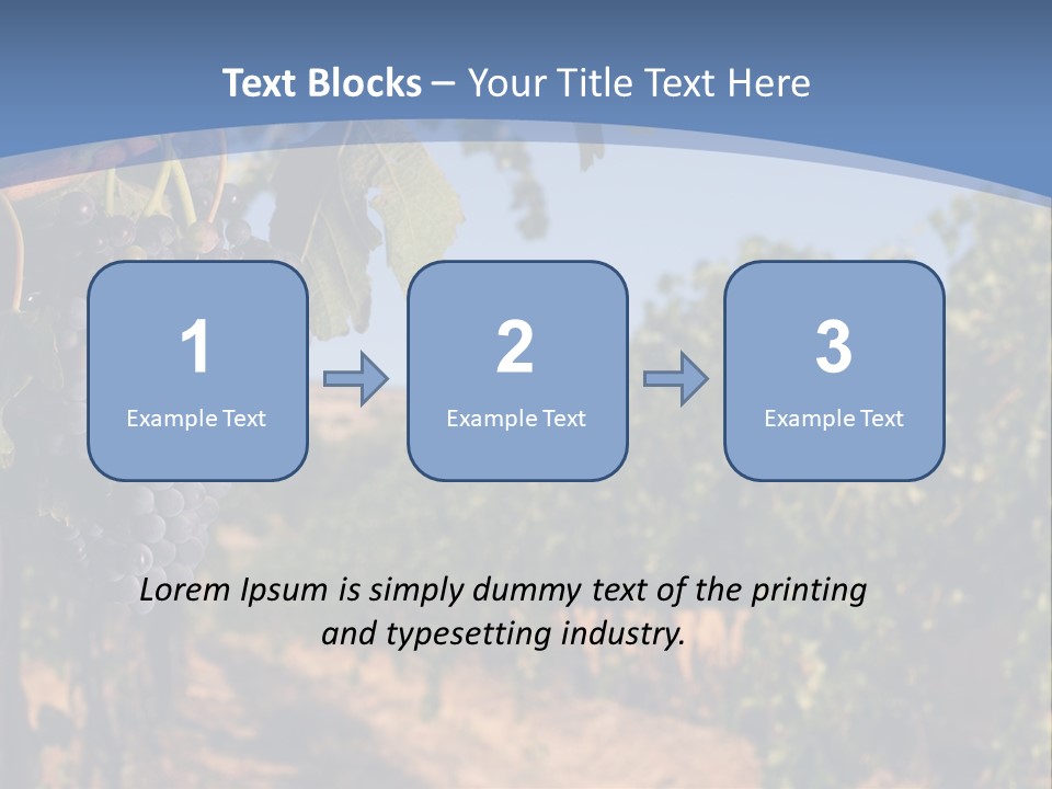 Leg Woman Female PowerPoint Template