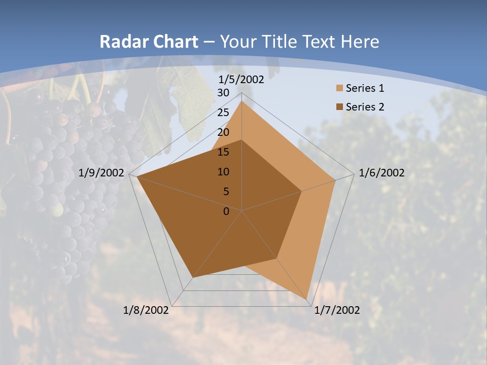 Leg Woman Female PowerPoint Template