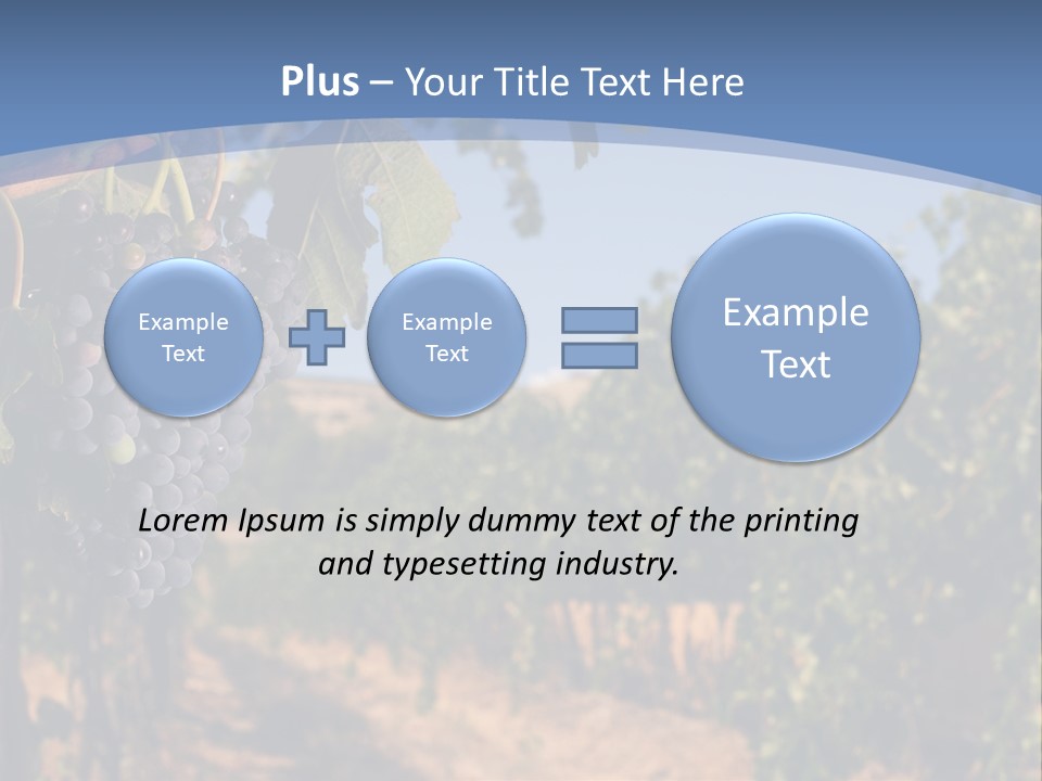 Leg Woman Female PowerPoint Template