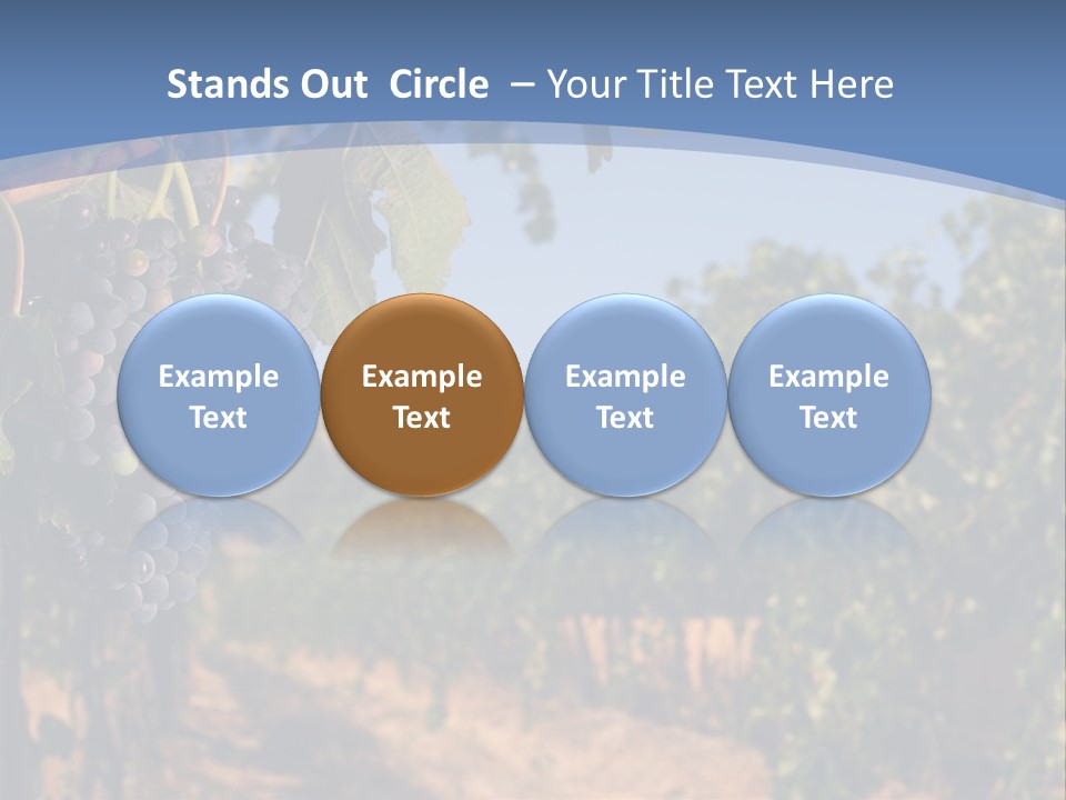 Leg Woman Female PowerPoint Template