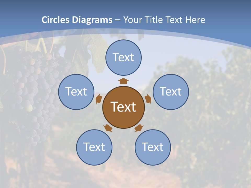 Leg Woman Female PowerPoint Template