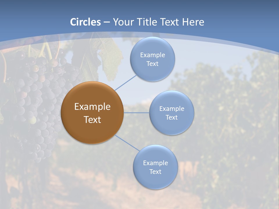 Leg Woman Female PowerPoint Template